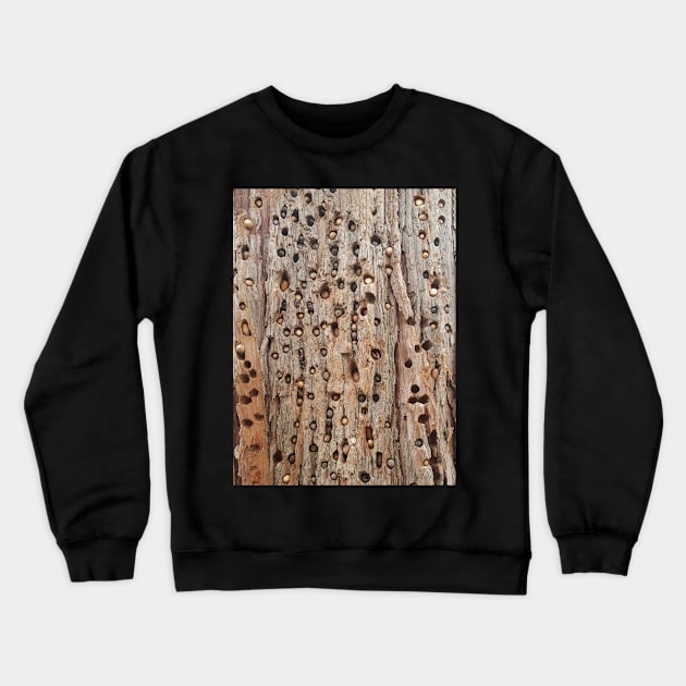 Palomar Acorn Pine Pantry Crewneck Sweatshirt by Lora Knox Designs 